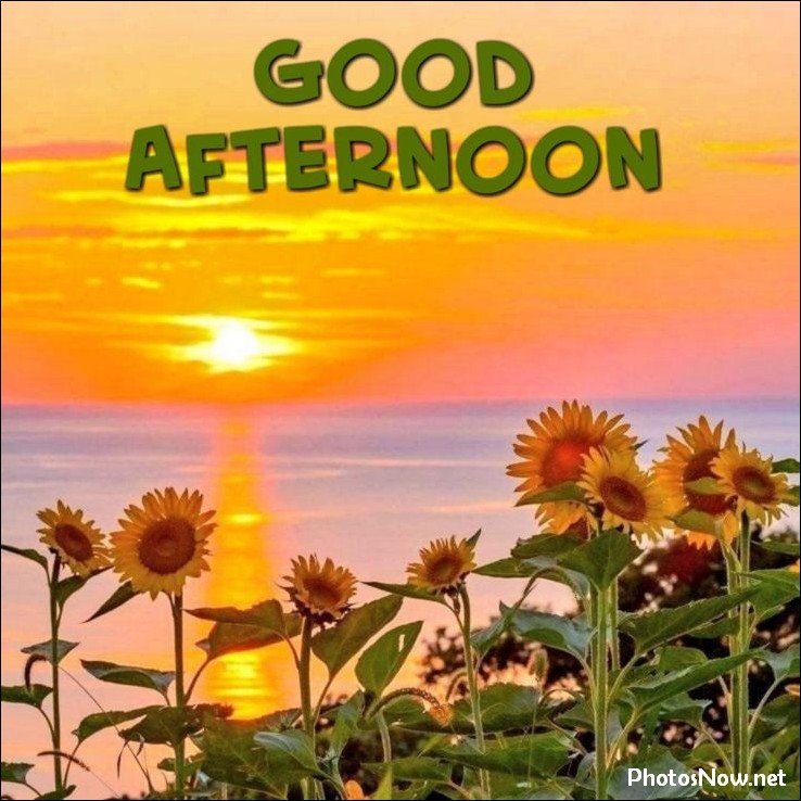 good-afternoon-images