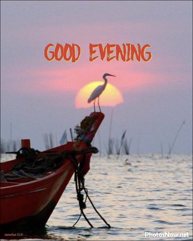 good-evening-images