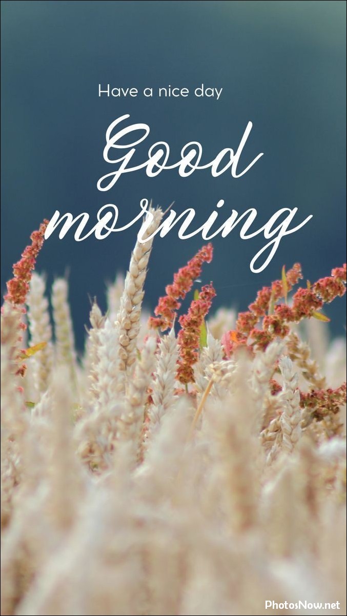 good-morning-images