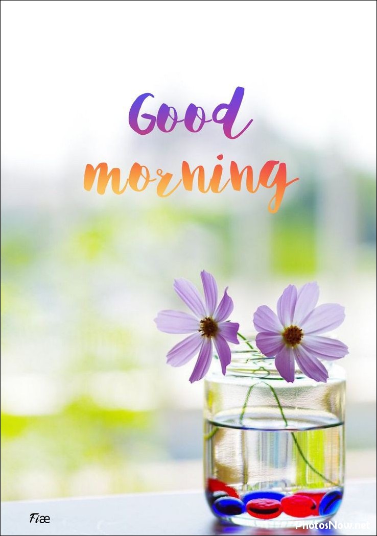 good-morning-images