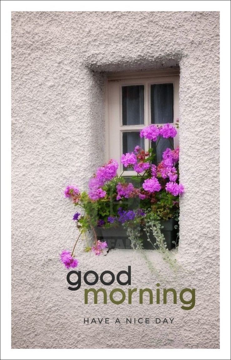 new-good-morning-pic-hd