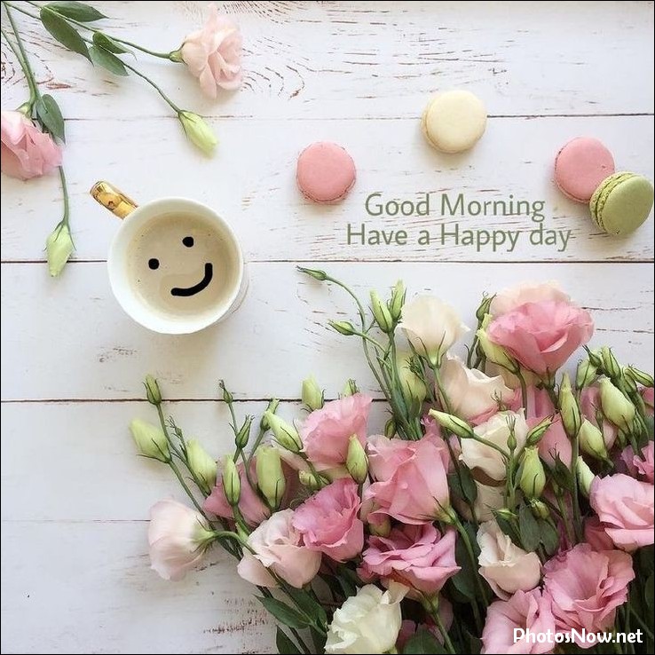 new-good-morning-pic-hd