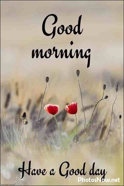 today-special-good-morning-images