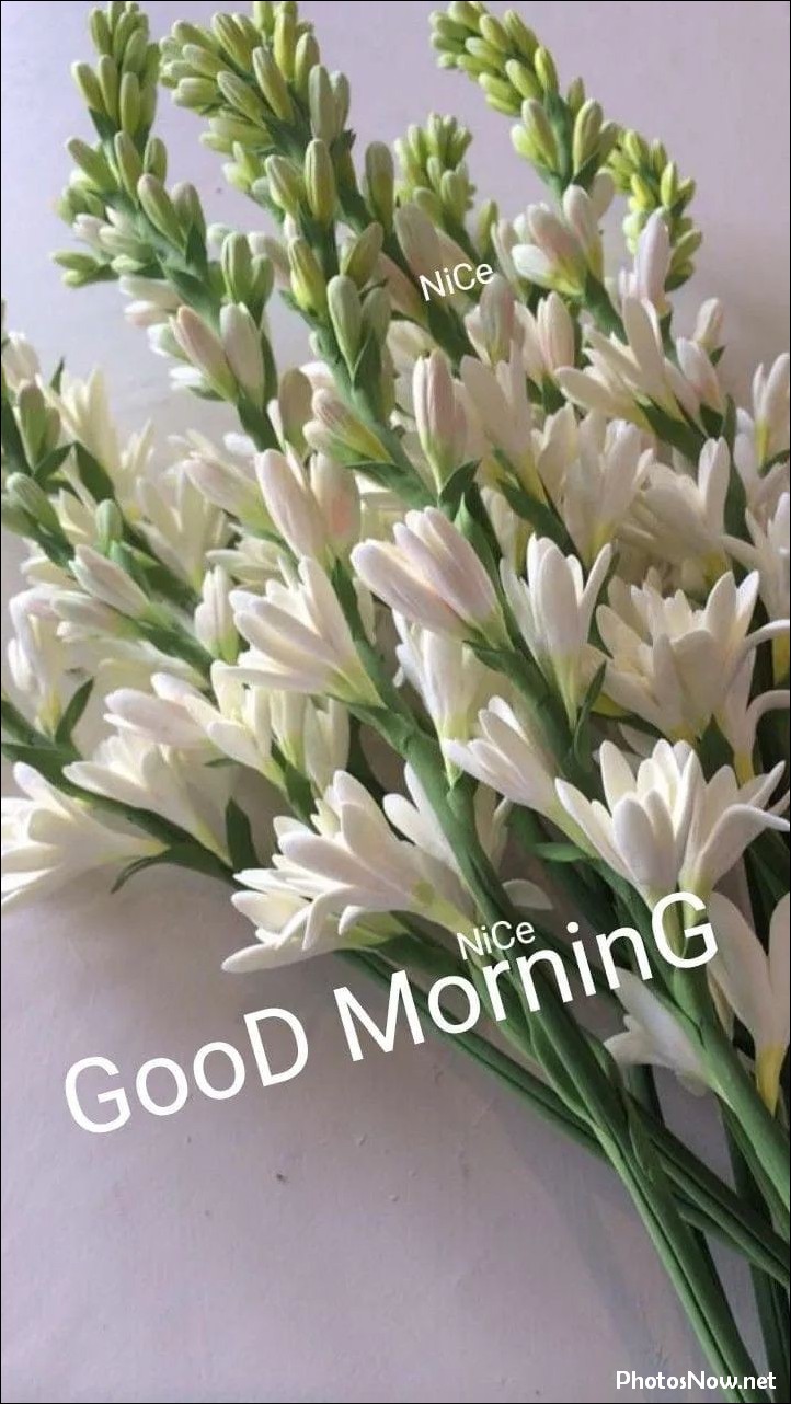 today-special-good-morning-images