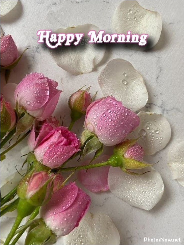 today-special-good-morning-images