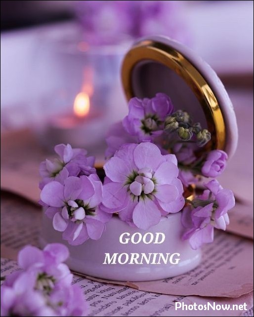 today-special-good-morning-images